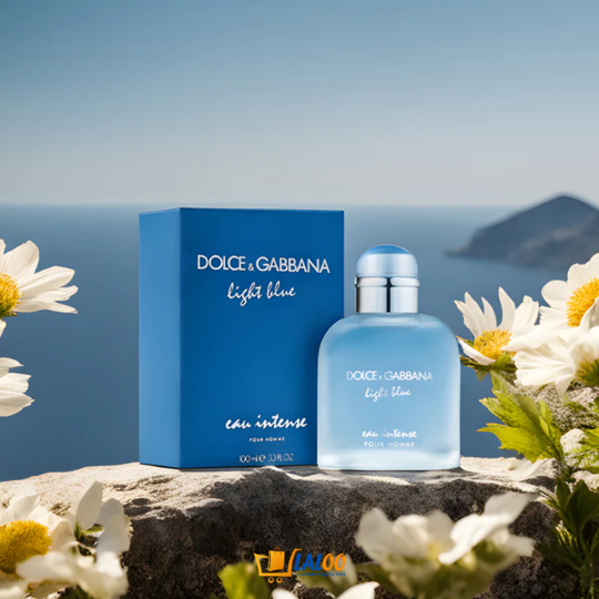 Dolce &amp; Gabbana Light Blue Eau de Toilette - Laloo.store